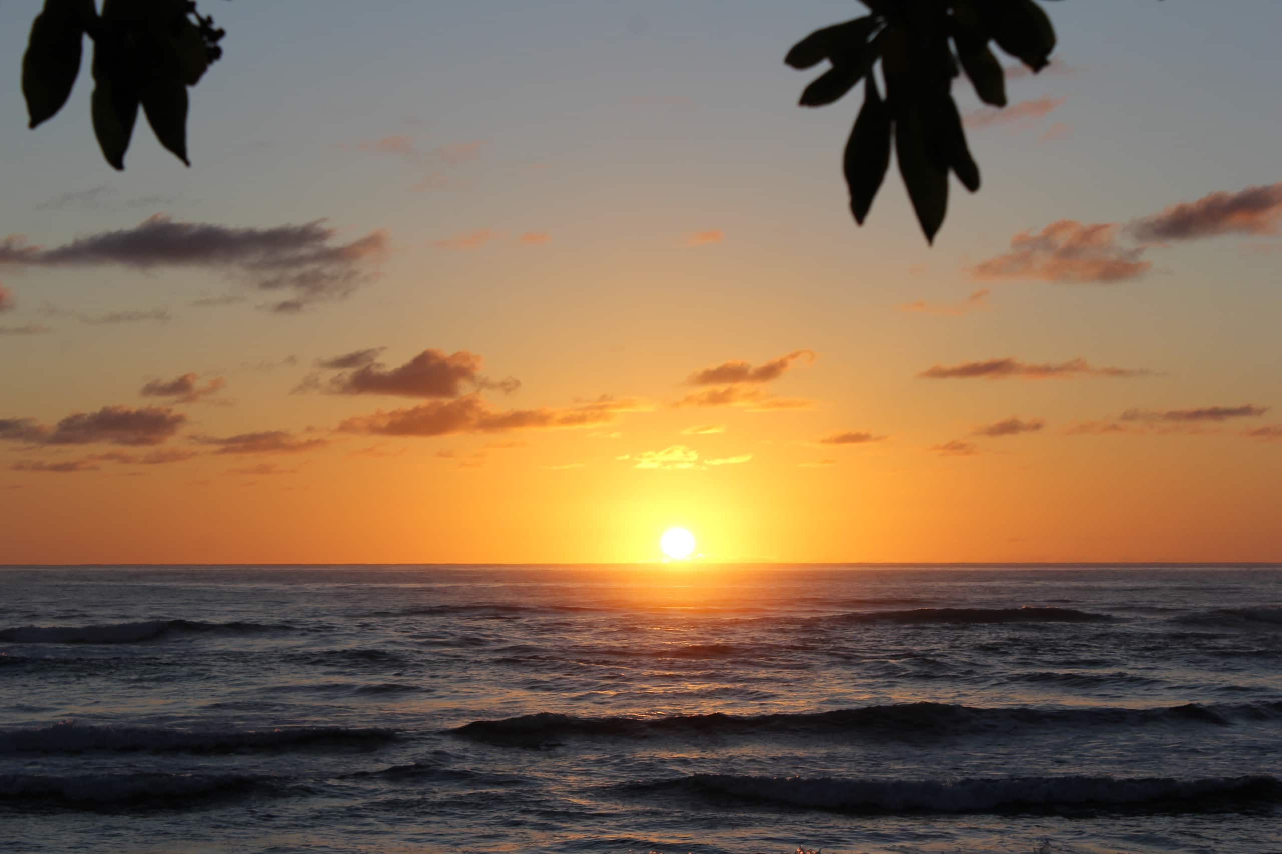 Resort in Lihue · ★4.95 · 1 bedroom · 2 beds · 1 private bath - Image 38