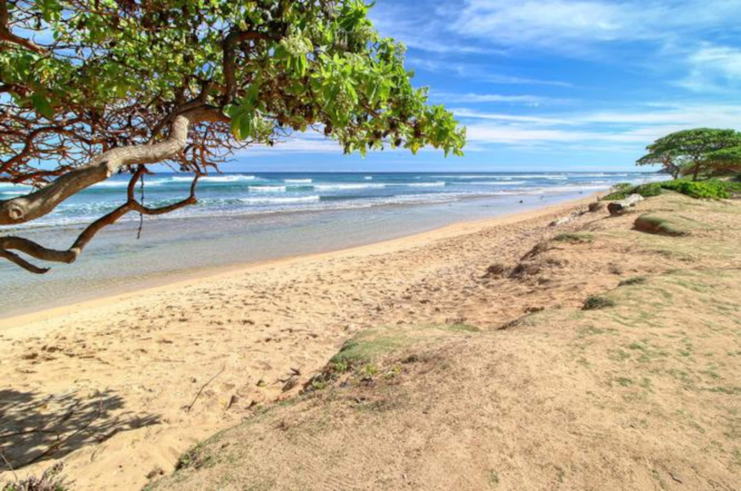 Resort in Lihue · ★4.95 · 1 bedroom · 2 beds · 1 private bath - Image 39
