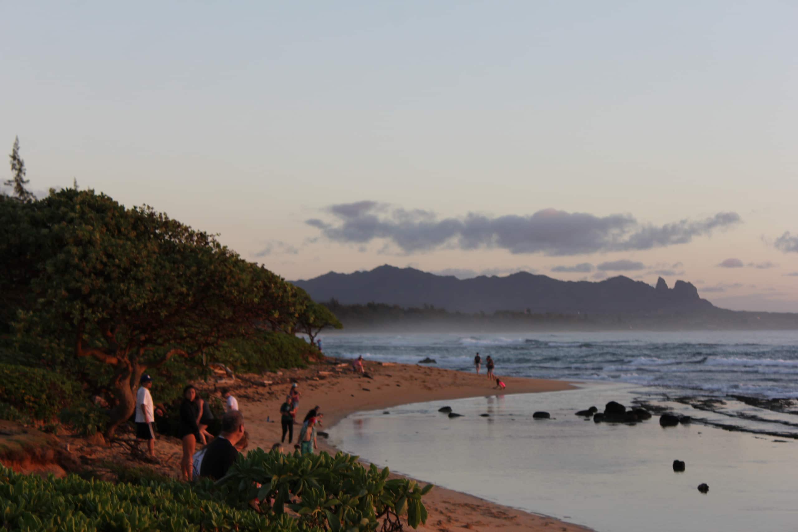 Resort in Lihue · ★4.95 · 1 bedroom · 2 beds · 1 private bath - Image 35