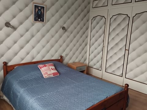 Ideal house for large family - close to Le PAL