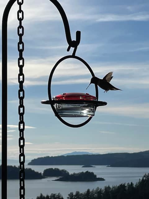 Above Bowen Bay Beach: 
An Ocean View Paradise