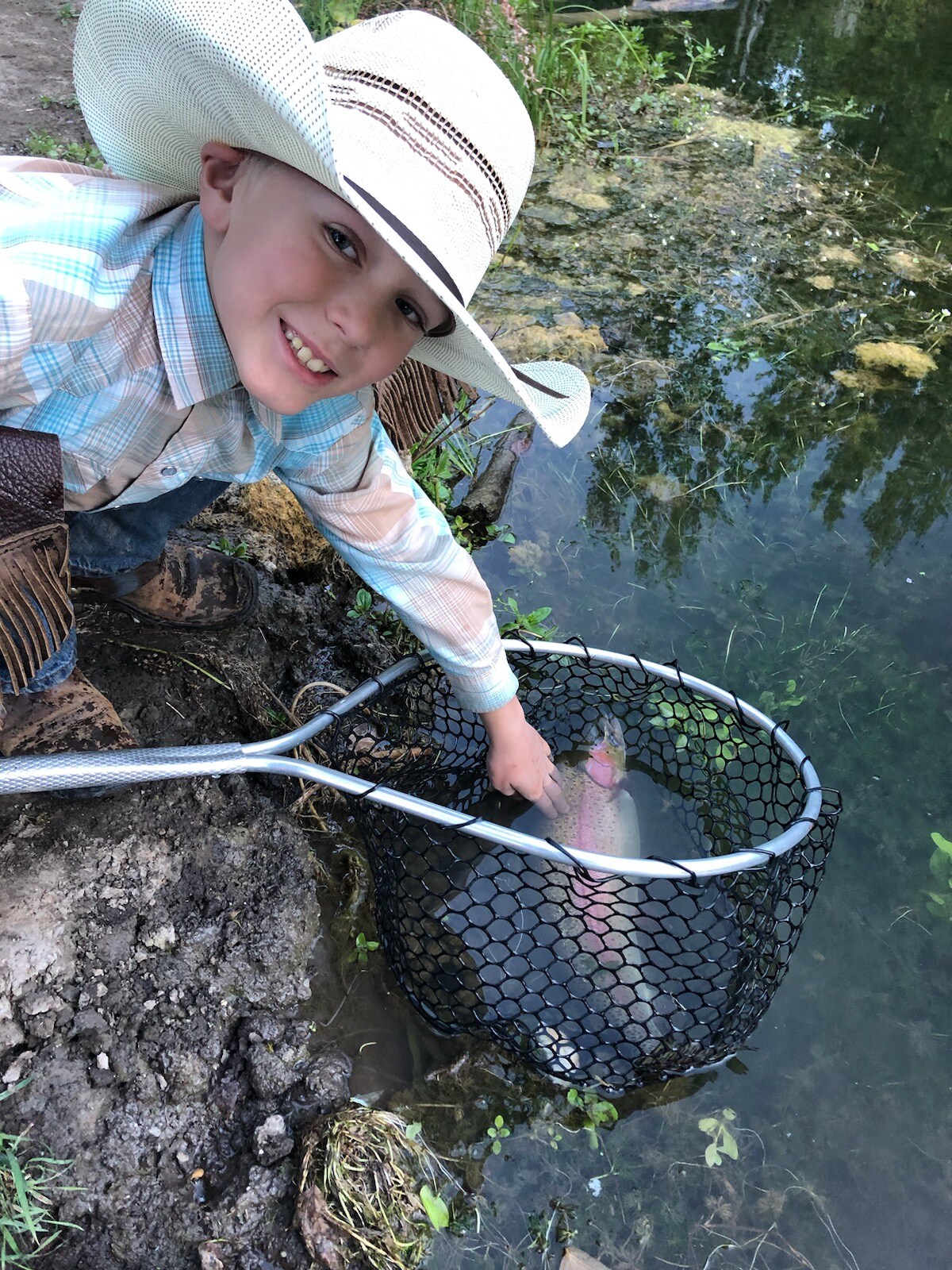 A person is leaning over the edge of a calm lake, reaching into a net placed in the water. The net contains a fish, visible through the mesh, with ripples reflecting the surrounding greenery. The scene conveys a moment of fishing enjoyment at the ranch.