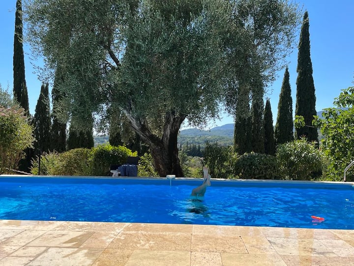 Villa Maribergue Of Fayence - Fayence