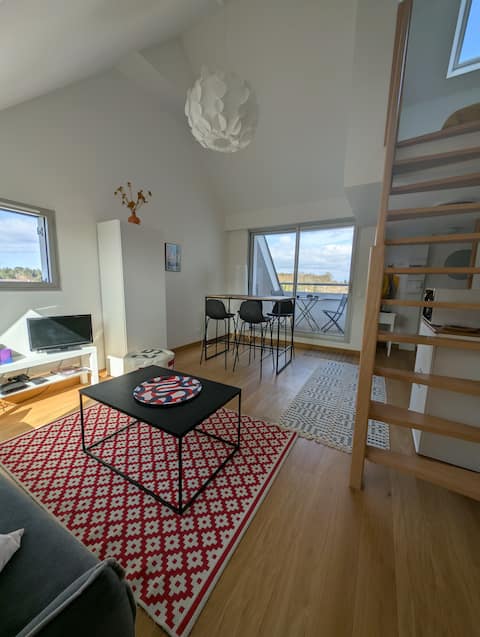 Successful Airbnb property: Beautiful, new, and cozy duplex near the marina in Bénodet