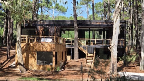 In the woods, steps from the sea