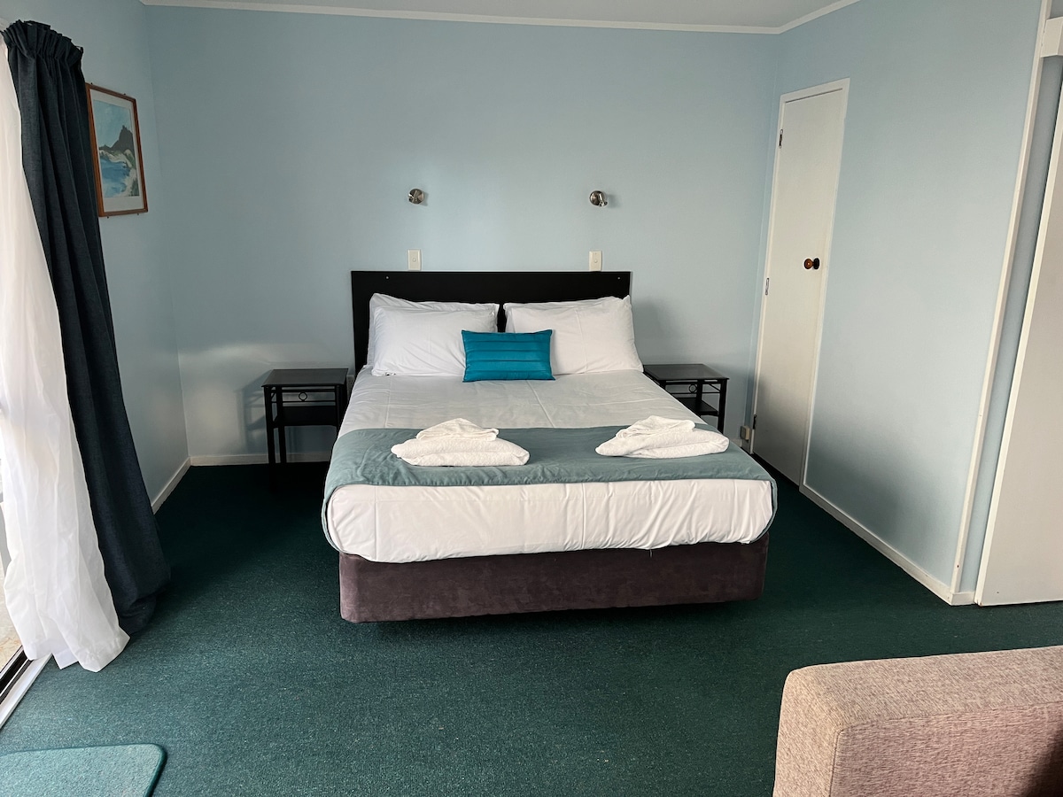A spacious sleeping area is highlighted by a queen bed, adorned with soft linens and decorative pillows. Nightstands are positioned on either side of the bed. Light-colored walls and a green carpet create a calm atmosphere, with natural light coming from a large window covered by dark curtains.