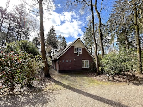 Successful Airbnb property: Veluwe vacation home (H10) in Wijk 57 Garderen