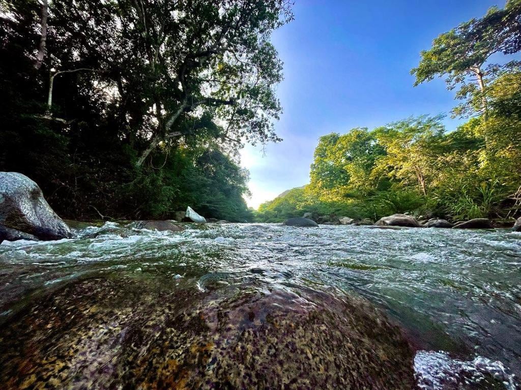 A flowing river is captured with lush greenery lining both banks. Sunlight filters through the trees, creating a serene atmosphere. Rocks are visible beneath the clear water surface, showcasing a natural landscape that invites relaxation.