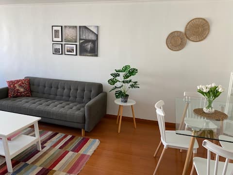 Successful Airbnb property: Fully equiped 2 Bedroom 2 bath Apt in Las Condes in Las Condes