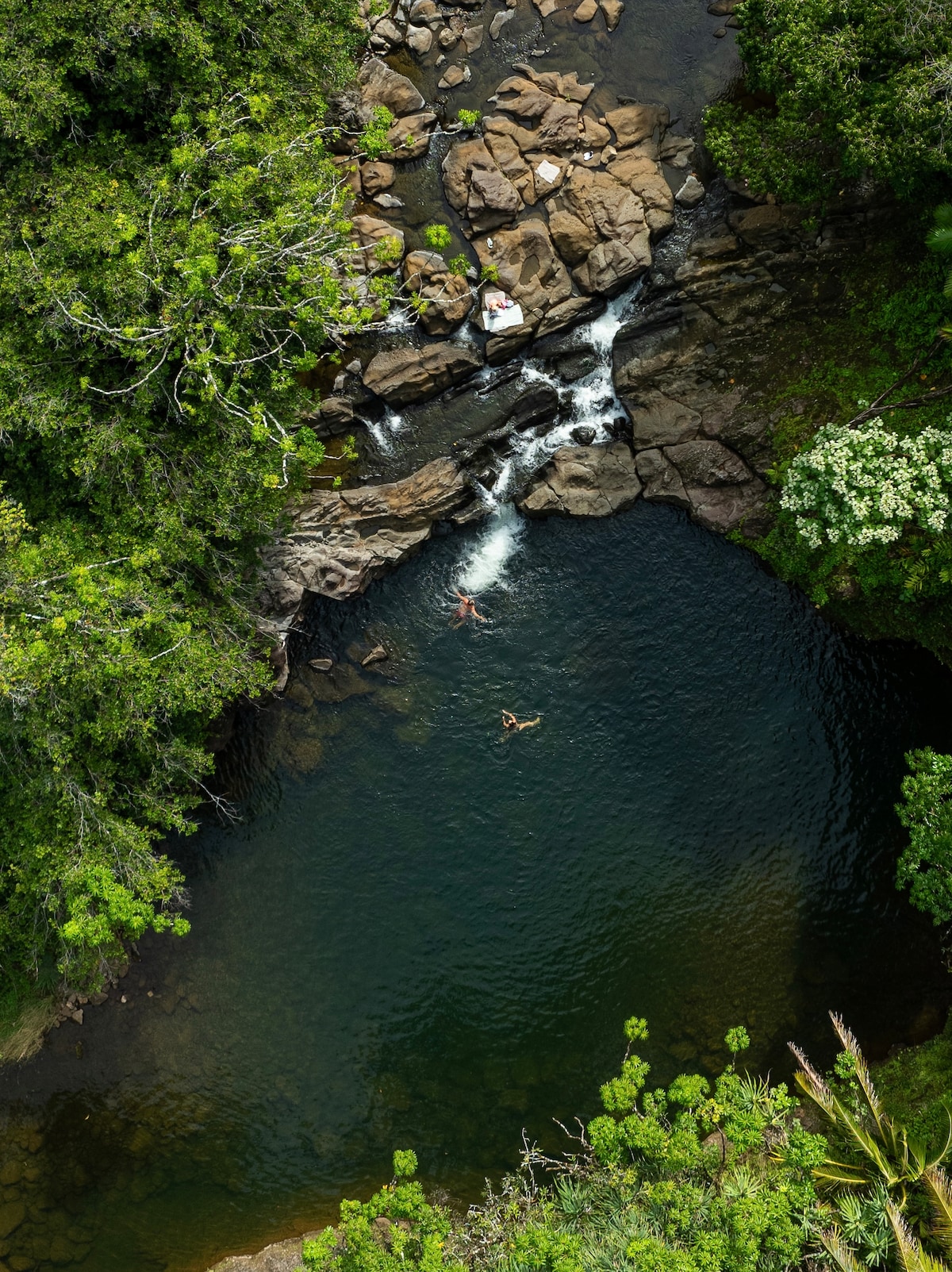 A serene river pool is framed by lush greenery and smooth rocks. Two individuals can be seen swimming in the clear water, with a gentle waterfall cascading nearby, contributing to the tranquil atmosphere of the natural surroundings.
