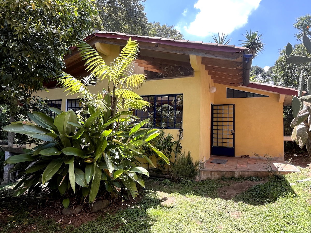 A charming yellow house is framed by lush greenery, featuring a stone pathway leading to a blue door. The roof extends overhead, providing shade, while large windows allow natural light to fill the interior. Various plants surround the home, creating a serene environment.