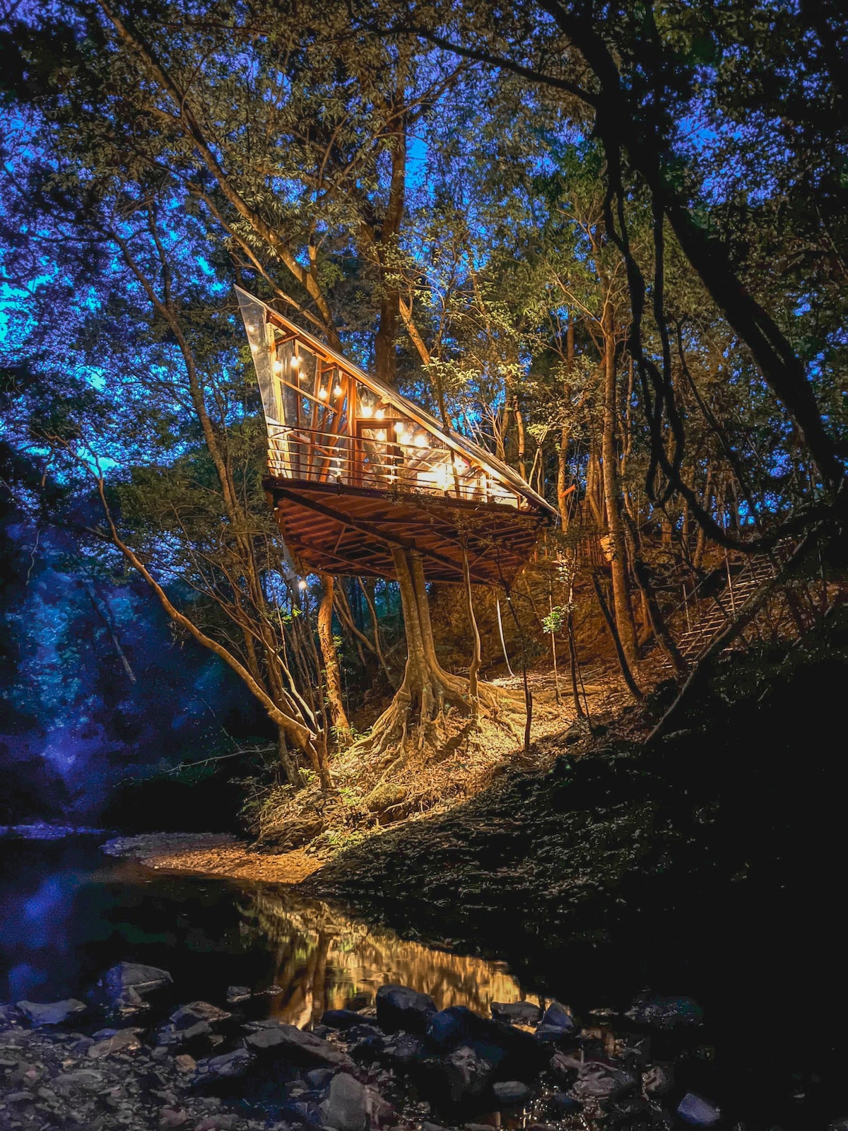 Tokyo ダークブラウン ガラス扉付き Club Sleepover 木製ラック・ウッドラック