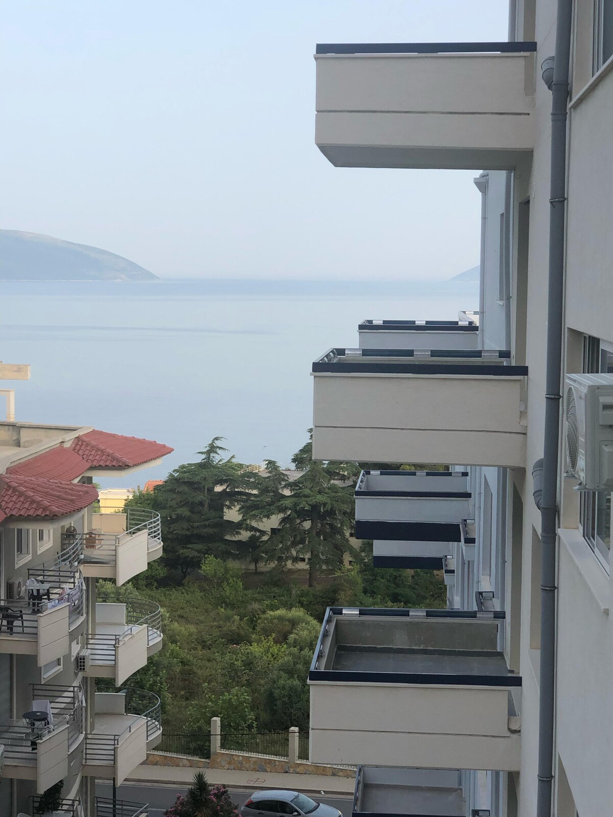 Listing 1391147546561959833