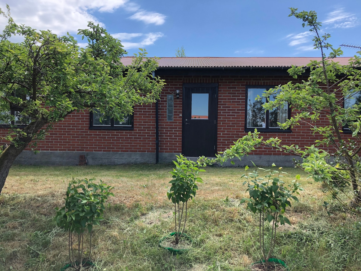 A brick building is shown surrounded by greenery, featuring three young bushes in the foreground. The entrance door is visible, flanked by large windows allowing natural light. The grassy area provides an open feel, with a serene sky visible above.