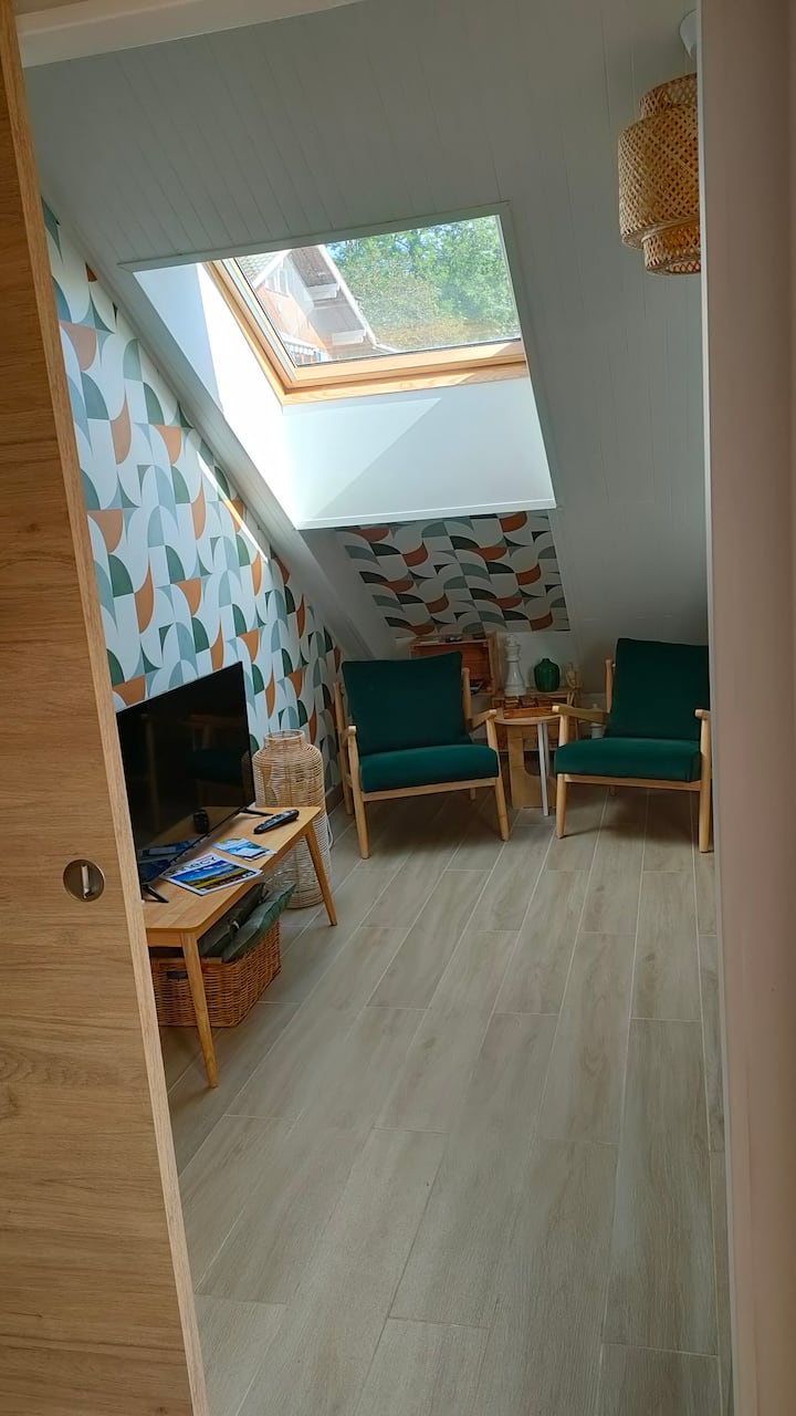 Suite Balcon-terrasse Vue Lac - Sévrier