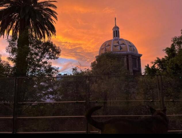 Tree-Lined Condesa Skyline 3 BR Charm with AC gallery image 5