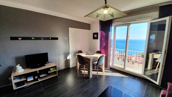 Spacious accommodation with sea view Cerbère near village