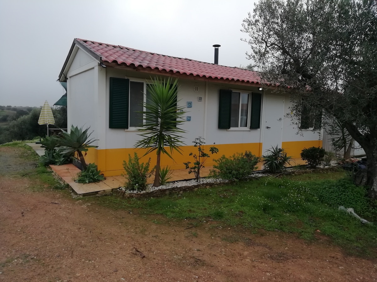 A mobile home is depicted, showcasing a white exterior with yellow lower trim. Green shutters frame the windows, and a small porch area is visible. Surrounding vegetation includes various plants and olive trees, contributing to the home's rustic charm.