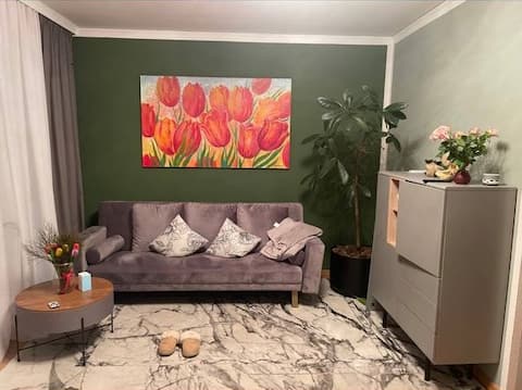 Popular Airbnb listing: Spacious apartment in HB Burg in Burglesum