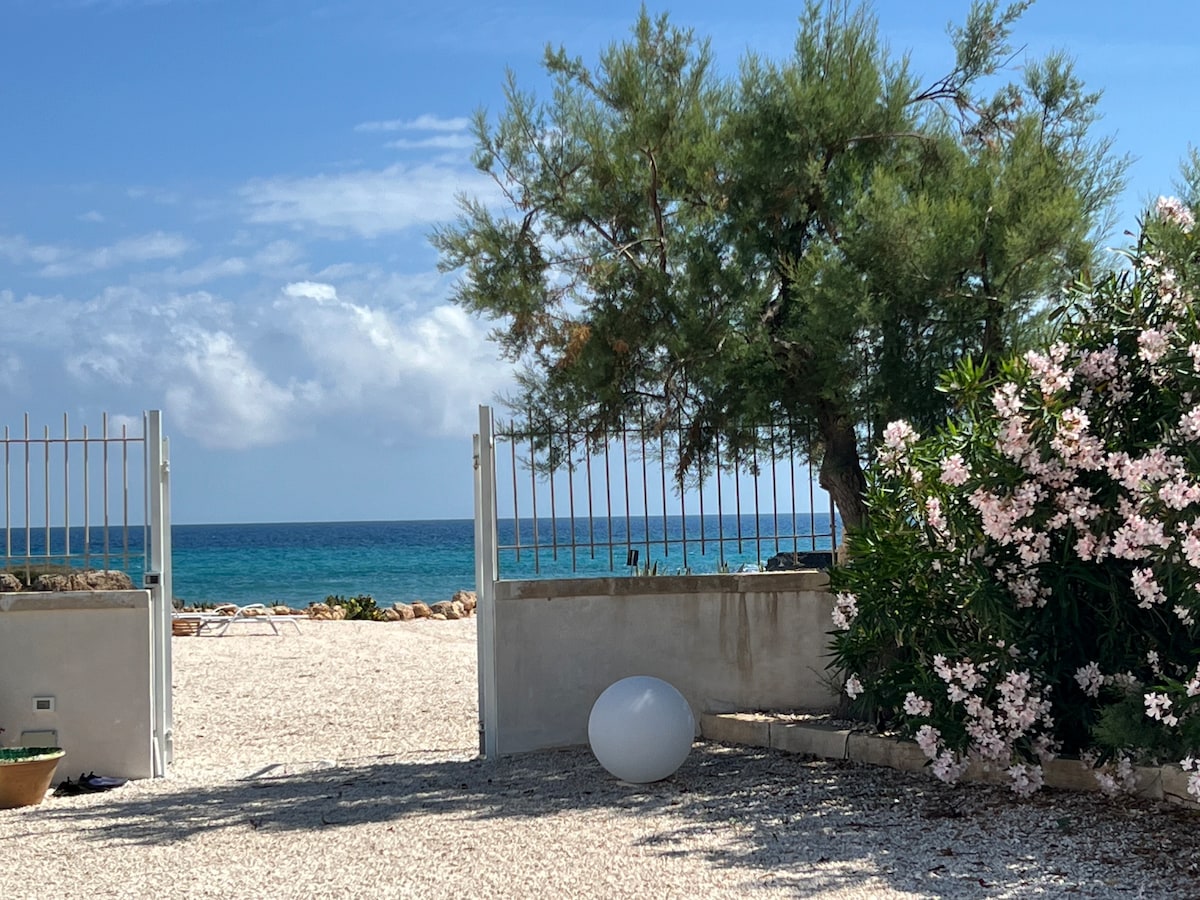 A view from a gated entrance reveals a sandy path leading to the shimmering turquoise waters. Bright green foliage frames the scene, complemented by blooming pink flowers. The sky features a soft blue hue with scattered clouds, enhancing the serene coastal environment.