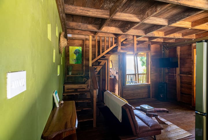 Humming Bird Haven - Dominica