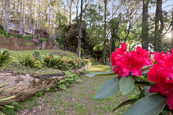 Mountain Oasis With Sauna/Spa gallery image 5