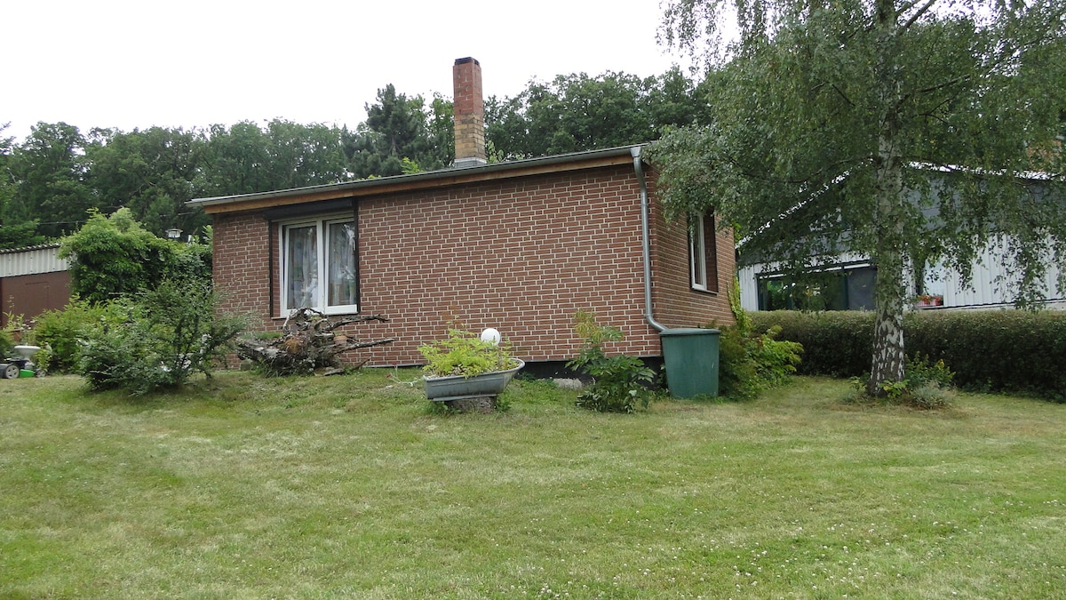 A single-story house with a brick exterior is situated on a grassy plot. Surrounding greenery includes shrubs and trees, with a small flower bed in front. A chimney is visible on the roof, and a green waste bin is placed nearby. Large windows allow natural light into the interior.