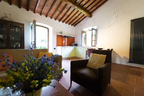 Airbnb con migliori performance: Gelsomino Apartment in Agriturismo with Pool a Pomarance