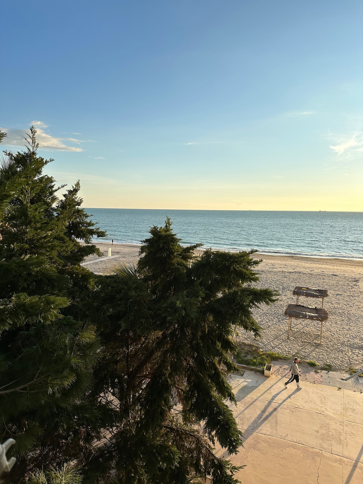 A view of a sandy beach and calm sea under a clear blue sky. Slightly swaying trees frame the foreground, while beach loungers are visible on the sand. The horizon blends serene colors as the sun begins to set.