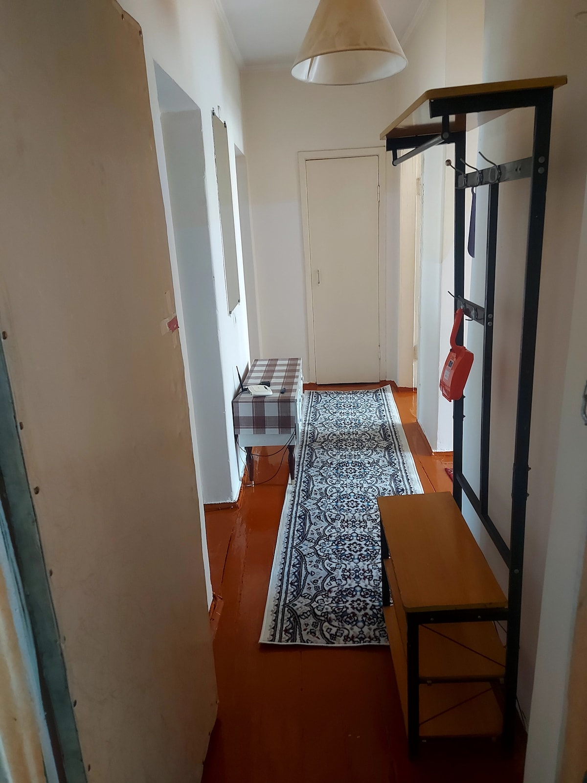 A narrow hallway is showcased, featuring light-colored walls and a warm-toned floor. A patterned runner carpet extends along the corridor, connecting to a wooden shelf unit and a small seating area. A single door leads into an enclosed space, with natural light illuminating the area.