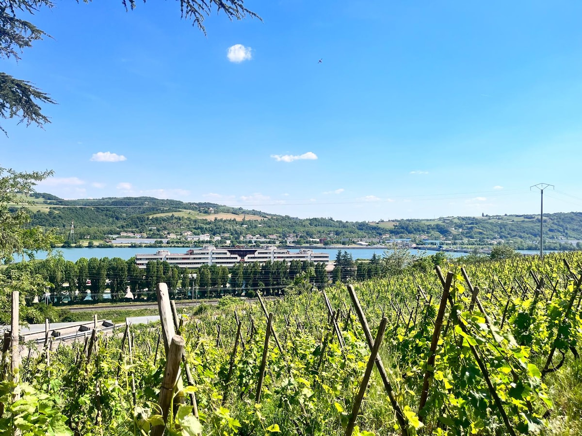 A panoramic view of lush vineyards cascading down a hillside, leading towards the Rhône river. Bright blue skies with a few scattered clouds create a serene backdrop. The distant town and the river's shimmering surface are visible, enhancing the natural landscape.