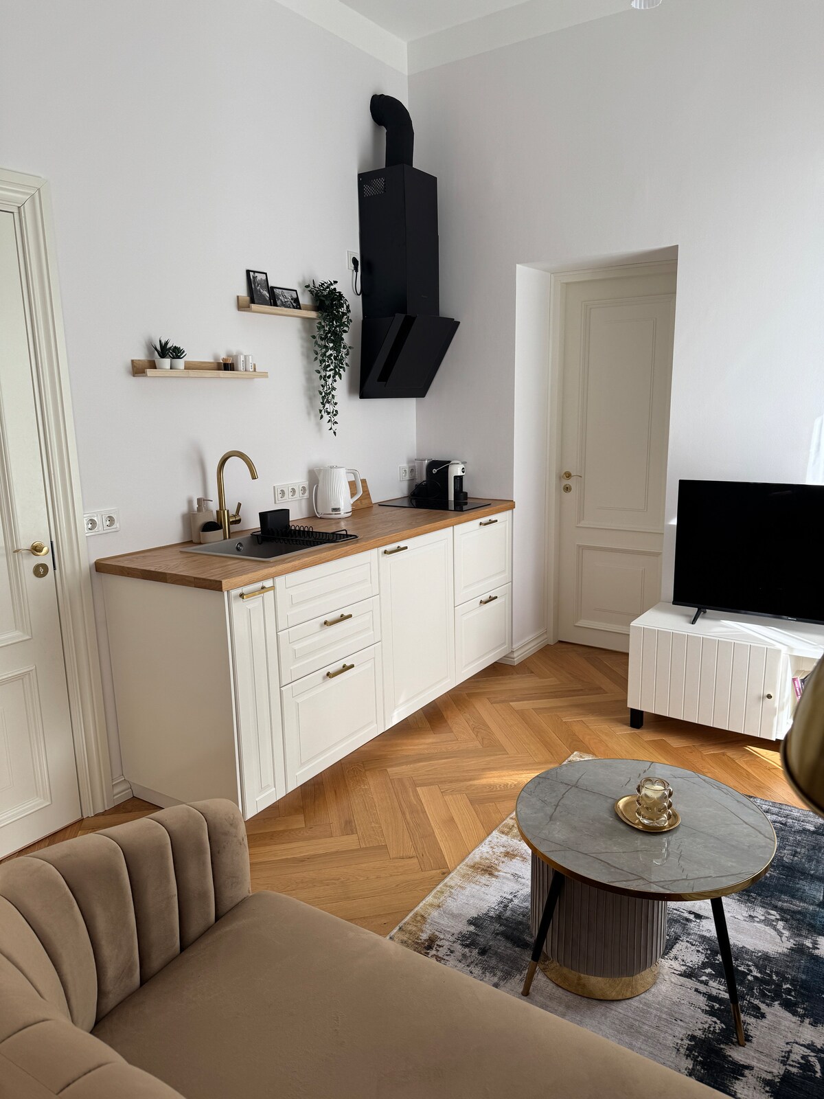 A compact kitchen area is visible, featuring a wooden countertop and a range of appliances including a coffee maker and kettle. White cabinetry complements the space, with decorative shelves holding small plants. A sofa and a television are included in the living room area, adding to the cozy feel.