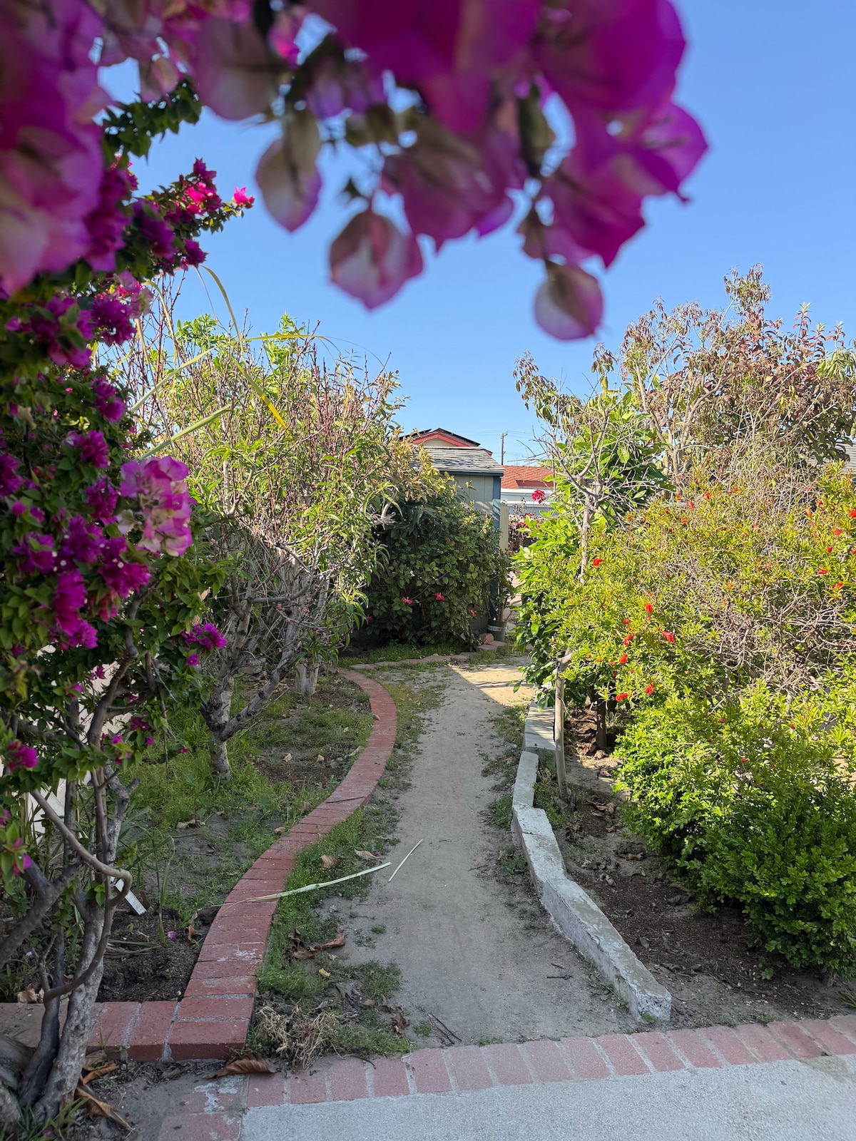A well-defined pathway meanders through lush greenery, bordered by vibrant flowering plants in shades of pink and green. The welcoming route leads towards a charming home, surrounded by carefully maintained gardens that enhance the inviting outdoor space.