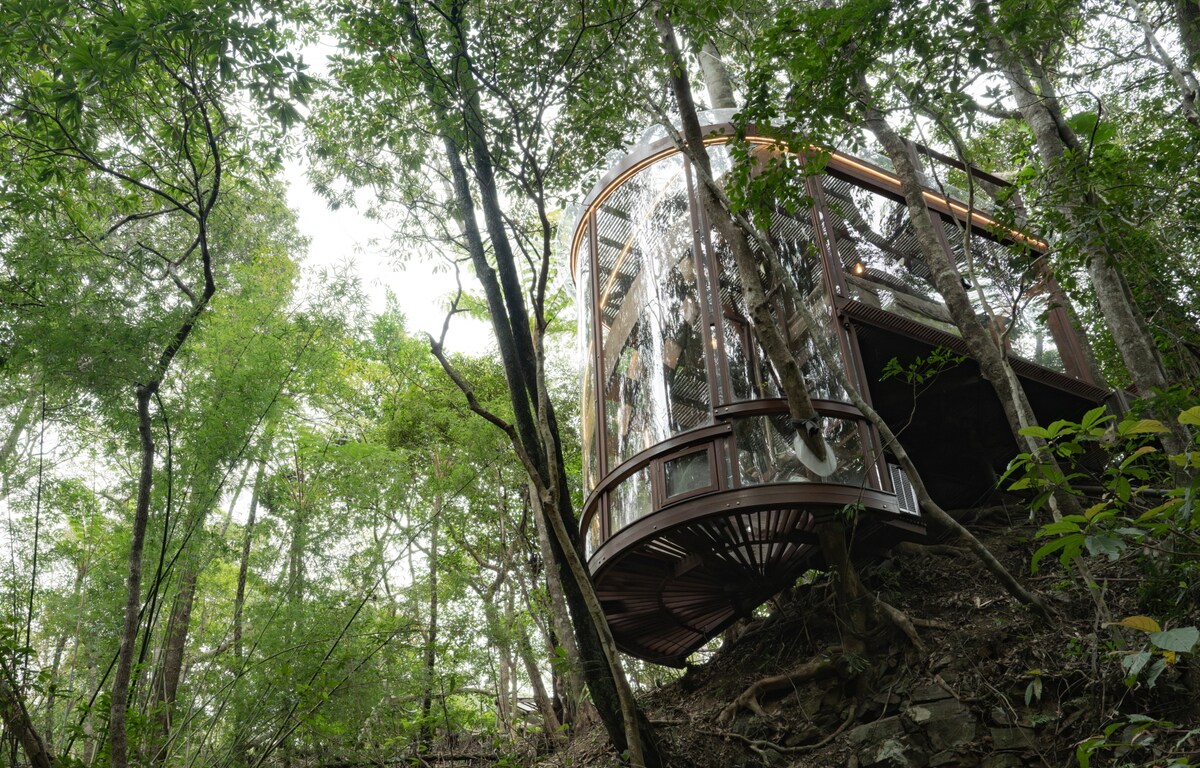 A sustainable treehouse is nestled among the lush greenery of a forest, elevated above the ground. The structure features large glass panels that allow for views of the surrounding trees and landscape, blending harmoniously with nature.