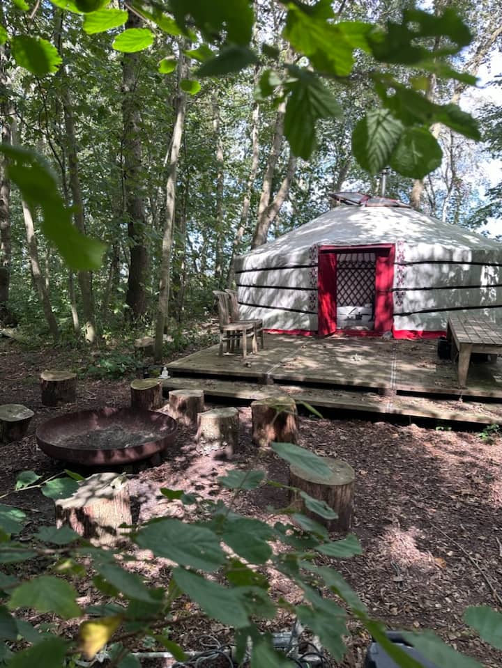 Romantic Yurt In Private Forest Near Beach & Sea - Callantsoog
