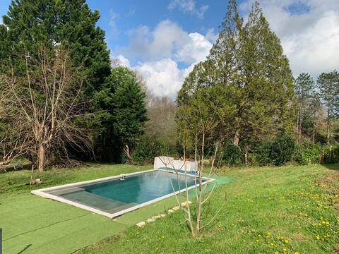 A family home with a pool