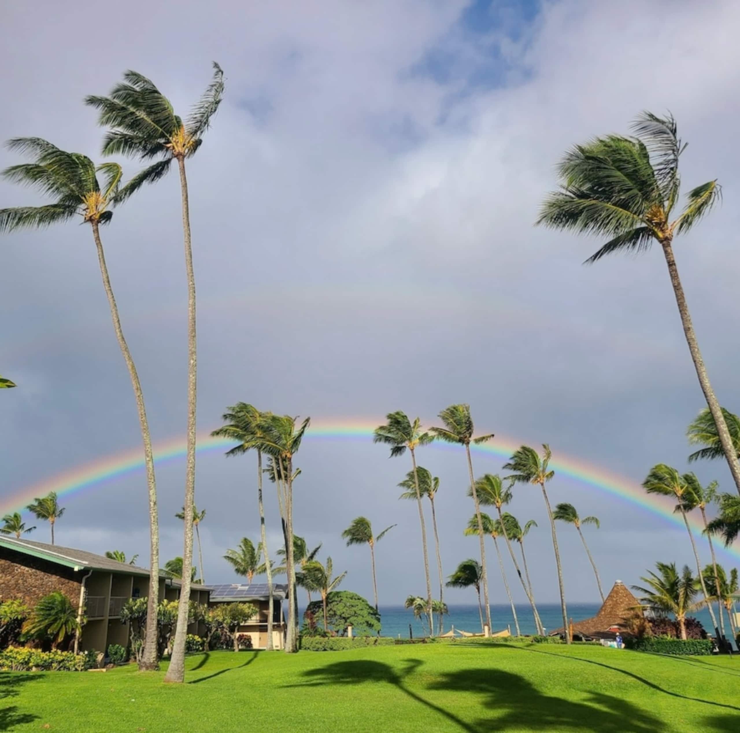 Condo in Lahaina · ★5.0 · 1 bedroom · 3 beds · 1 bath - Image 1