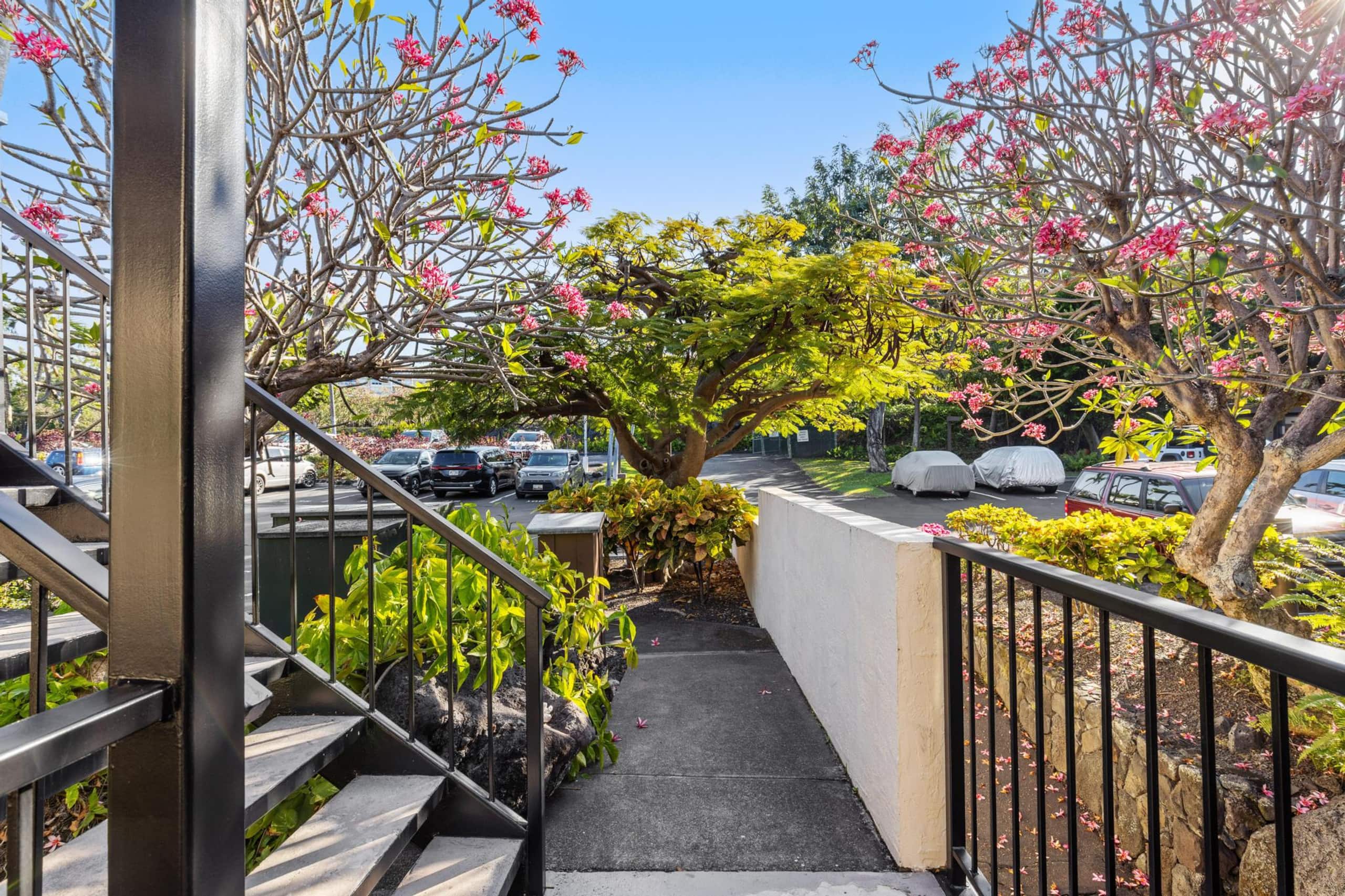 Condo in Kailua-Kona · ★5.0 · 3 bedrooms · 4 beds · 2 private baths - Image 45