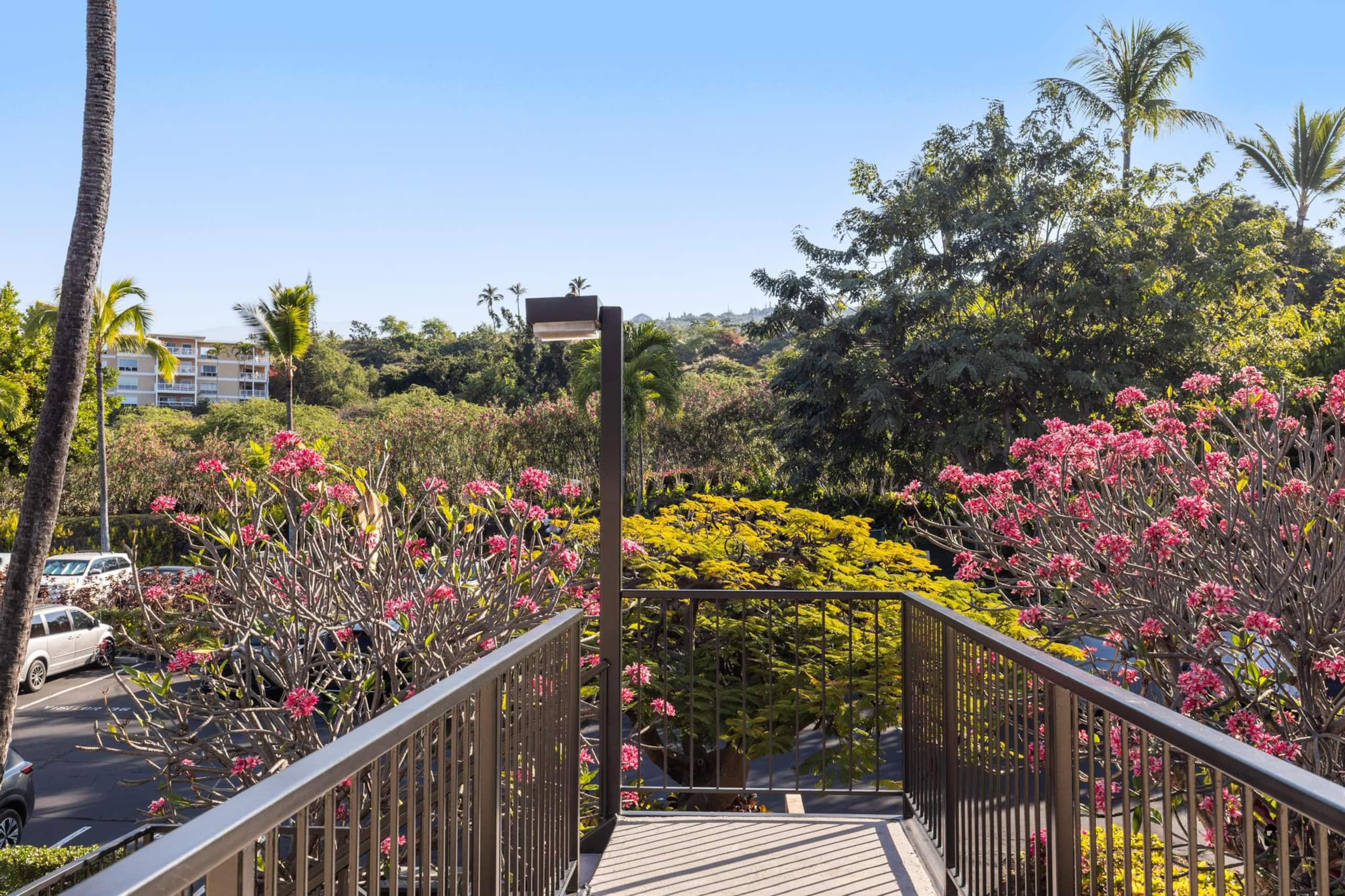 Condo in Kailua-Kona · ★5.0 · 3 bedrooms · 4 beds · 2 private baths - Image 47
