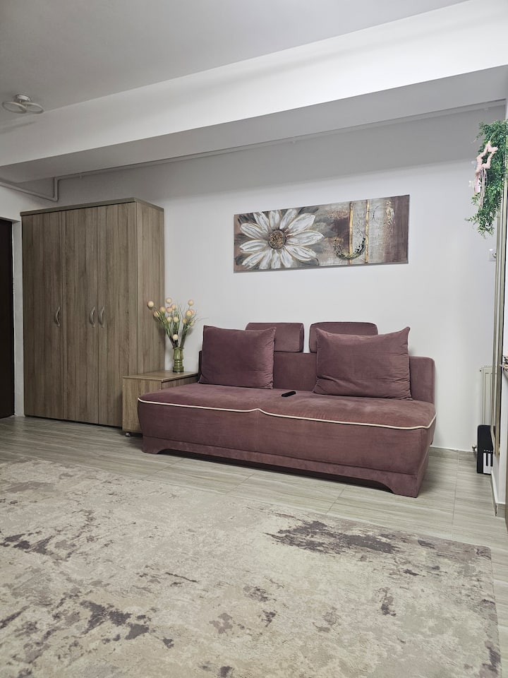 Airport Apartament - Ocna Sibiului