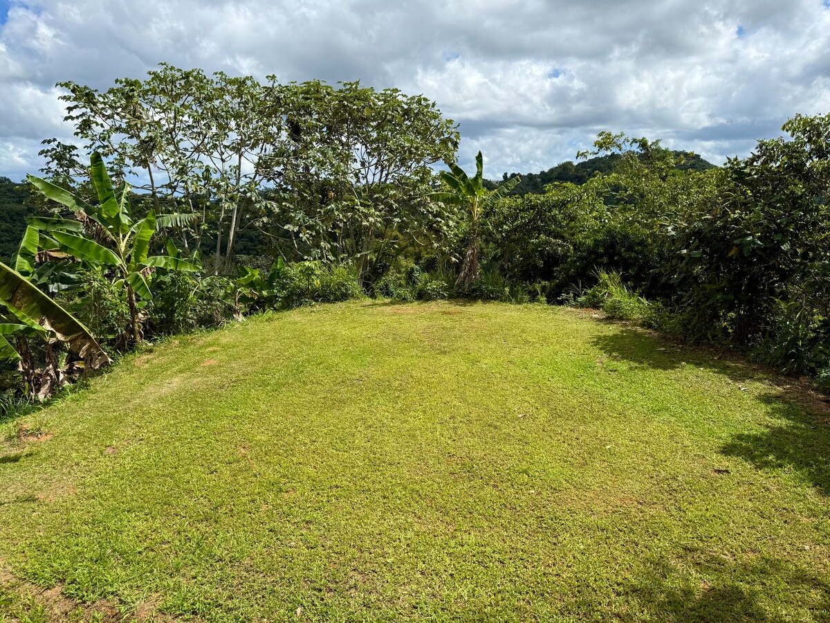 A grassy clearing is showcased, surrounded by lush greenery and trees. The open space, with light clouds overhead, provides a serene atmosphere for outdoor activities or camping. The landscape seamlessly blends into the natural beauty of the surrounding countryside.