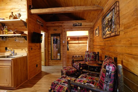 Top performing Airbnb: Denali Rustic Luxury Cabin W/ King Bed & Kitchen 2 in Healy