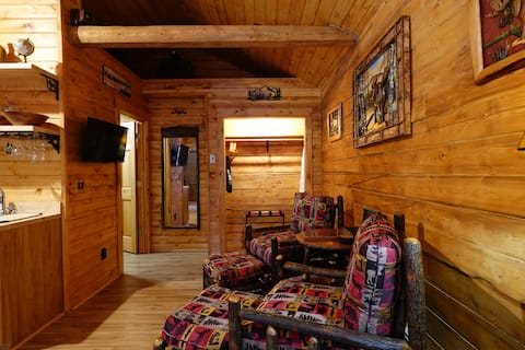 Top performing Airbnb: Denali Rustic Luxury Cabin W/ King Bed & Kitchen 3 in Healy