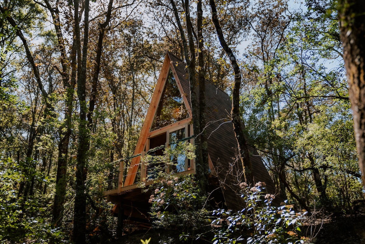 A modern A-frame cabin is nestled among tall trees, showcasing large windows that invite natural light. The design features wooden accents, blending harmoniously with the surrounding forest. Lush greenery and colorful foliage create a serene backdrop, emphasizing the cabin's connection with nature.