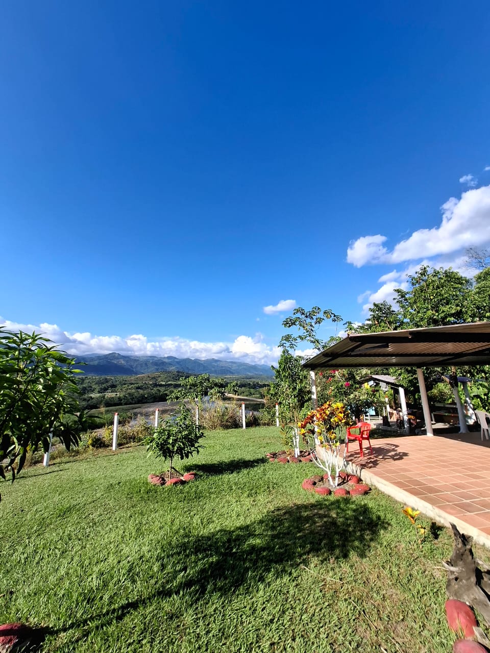 A vibrant outdoor space features a well-maintained lawn surrounded by lush greenery and trees. A shaded patio offers a view of the expansive landscape and blue sky, complemented by colorful flowers placed nearby. The serene environment invites relaxation and connection with nature.