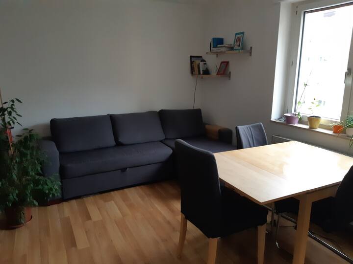 Cozy 2 Rooms Apartment Near Hbf - Mannheim
