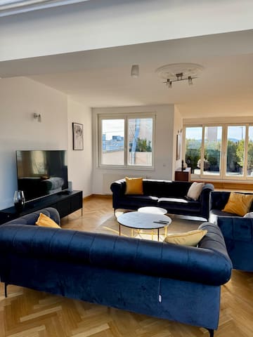 Vienna Crown Penthouse – 6BR, 3Bath, Rathaus View
