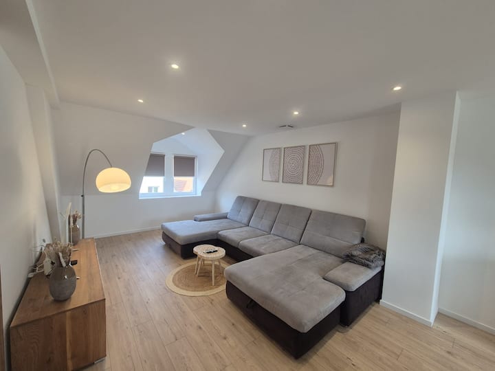 Appartement De 100m2 Lumineux Et Spacieux - Marlenheim