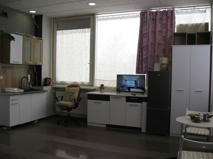 Nice 40 Sq.m Studio-office - Vilnius
