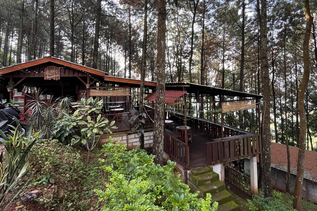 A rustic lodge is nestled among the tall pine trees, featuring an outdoor dining area with wooden tables and chairs. Surrounding greenery adds a natural feel, while roofs of the structure and nearby buildings are visible, blending harmoniously with the forested environment.